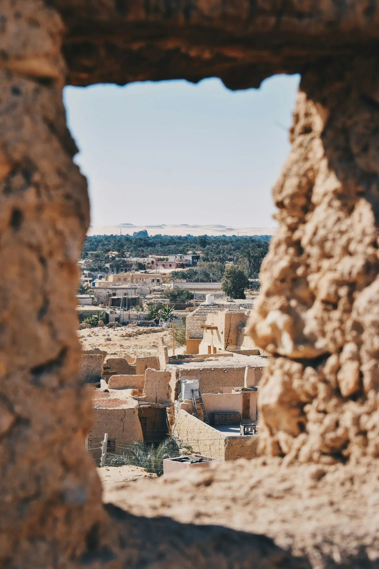 Mud-brick houses in Siwa Oasis showcasing traditional architecture